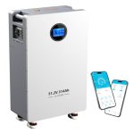 Beste thuisbatterij 48V 314Ah LiFePO4-accu (16,08 kWh energieopslag) met 200A BMS, stroomonderbreker, RS485/CAN/RS232 en Bluetooth/Wi-Fi – voor noodstroomvoorziening thuis en off-grid zonne-energiesystemen